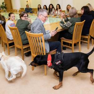 54855565432_000934ca95_k_original