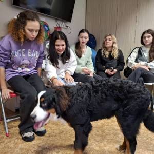 zobrazenna_viber_2025-10-17_00-00-45-232_original