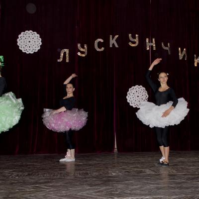 Dsc 0101 1